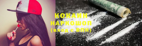 apvp Горняк