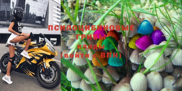 apvp Горняк