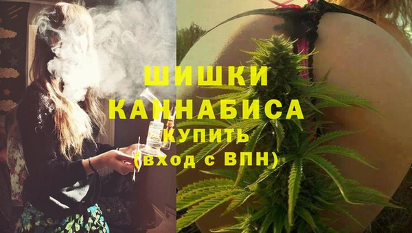 apvp Горняк