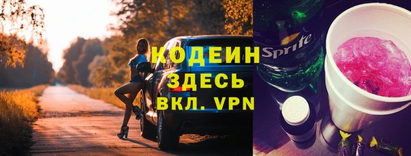apvp Горняк