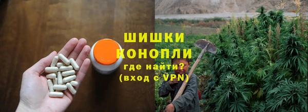 apvp Горняк