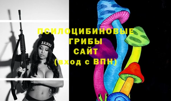 apvp Горняк
