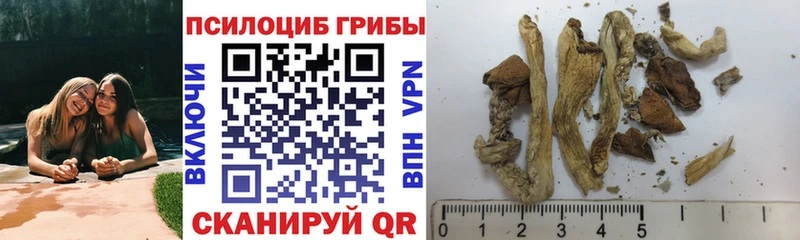 Галлюциногенные грибы MAGIC MUSHROOMS  Барнаул 